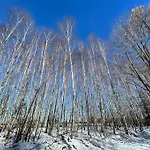 公寓 La Bergerie *