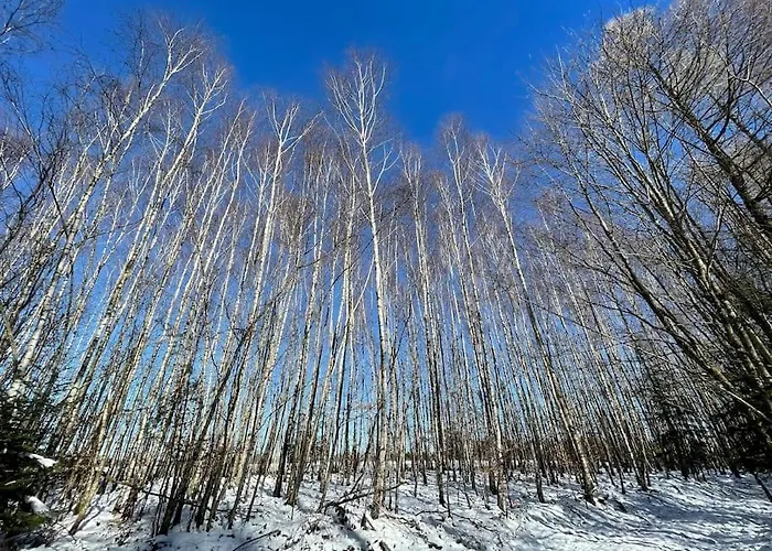 Апартаменты La Bergerie *